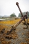 Picture of ALASKA-SITKA OLD ANCHORS AT OCEAN LOW TIDE 