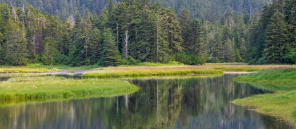 Picture of ALASKA PANORAMIC OF MEADOW AT HIGH TIDE IN TONGASS NATIONAL FOREST 