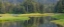 Picture of ALASKA PANORAMIC OF MEADOW AT HIGH TIDE IN TONGASS NATIONAL FOREST 