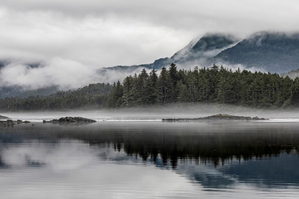 Picture of ALASKA-TONGASS NATIONAL FOREST REFLECTIONS IN MIRROR HARBOR 