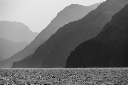 Picture of ALASKA-TONGASS NATIONAL FOREST BANDW OF HAZY DAY IN LISIANSKI INLET 