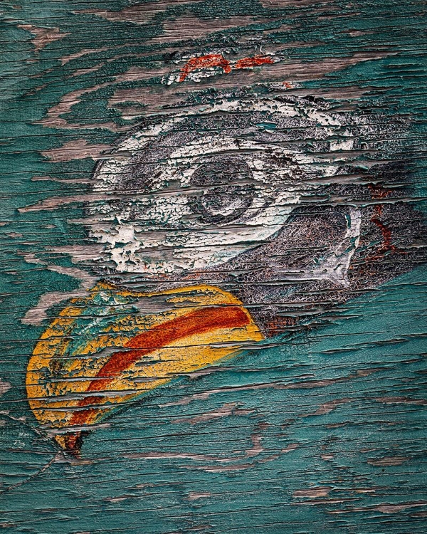 Picture of ALASKA-PELICAN WEATHERED PAINTING OF BIRD HEAD 