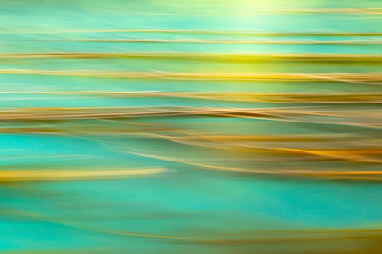 Picture of ALASKA-INIAN ISLANDS ABSTRACT OF KELP IN MOTION 