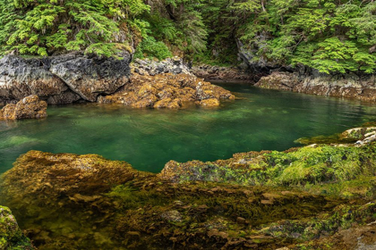 Picture of ALASKA-CHICHAGOF ISLAND BASKET CREEK SCENIC 