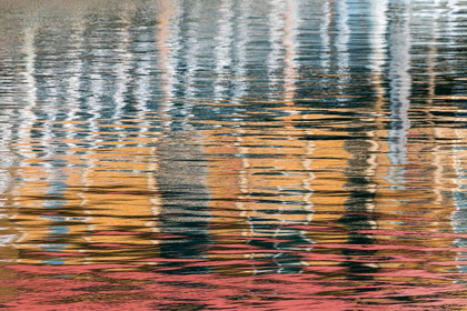 Picture of ALASKA-ELFIN COVE REFLECTIONS IN THE HARBOR WATER 
