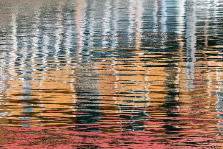 Picture of ALASKA-ELFIN COVE REFLECTIONS IN THE HARBOR WATER 
