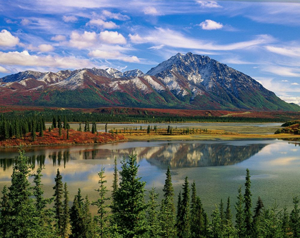 Picture of MOUNTAIN LANDSCAPE AND REFLECTION-FALL FOLIAGE-DENALI HIGHWAY NEAR ANCHORAGE