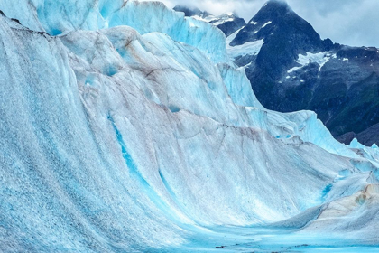 Picture of MENDENHALL GLACIER-JUNEAU-ALASKA-USA