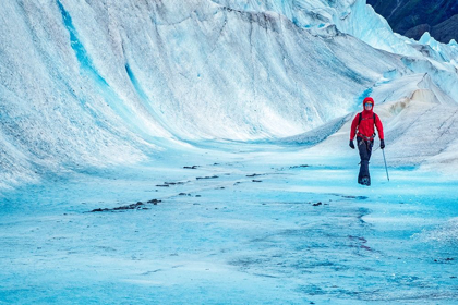 Picture of TREKKING-MENDENHALL GLACIER-JUNEAU-ALASKA