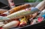 Picture of ANTIQUE FISHING LURE-WRANGELL-ALASKA-USA