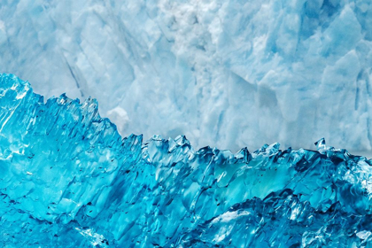 Picture of GLACIAL ICE-LECONTE BAY-ALASKA