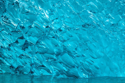 Picture of GLACIAL ICE-ICEBERG-LECONTE BAY-ALASKA-USA