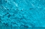 Picture of GLACIAL ICE-ICEBERG-LECONTE BAY-ALASKA-USA