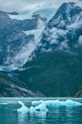 Picture of GLACIAL ICE-ICEBERG-LECONTE BAY-PETERSBURG-ALASKA-USA