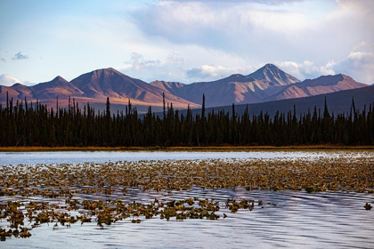 Picture of WRANGELL MOUNTAINS-ALASKA-USA