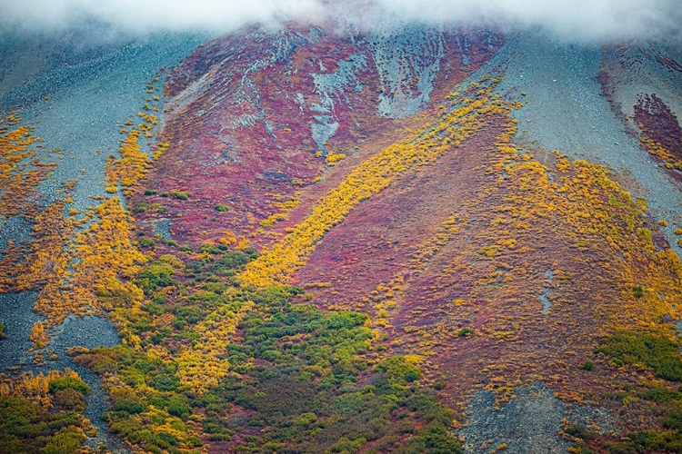 Picture of ALASKA-AUTUMN COLOR