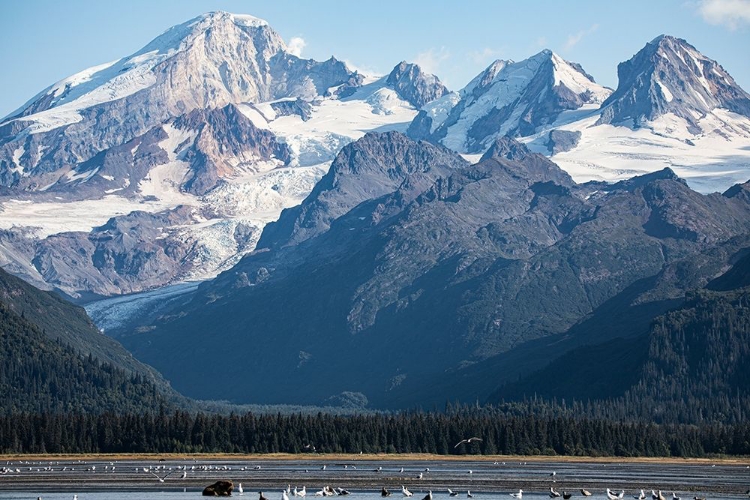 Picture of COOK INLET-LAKE CLARK NATIONAL PARK AND PRESERVE-ALASKA