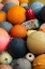 Picture of HOMER-ALASKA-MULTI-COLORED BUOY-FLOATING DEVICES