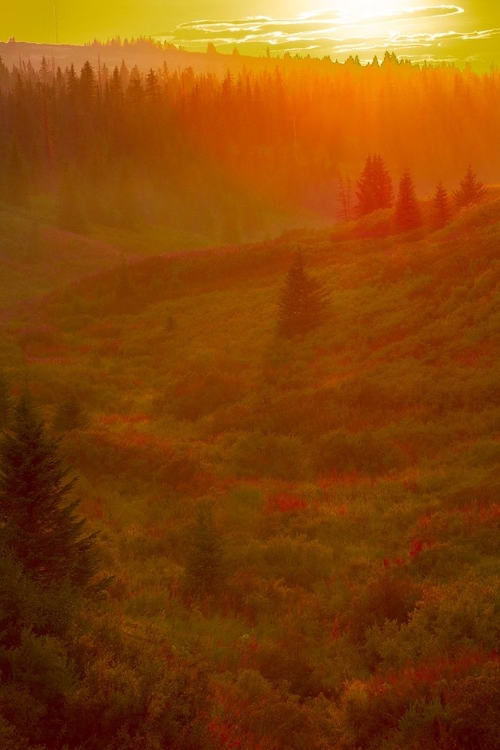 Picture of HOMER-ALASKA-SCENIC-SUNSET-GOLDEN-PERMAFROST