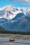 Picture of LAKE CLARK NATIONAL PARK AND PRESERVE-COOK INLET-KENAI PENINSULA-ALASKA-BROWN BEAR
