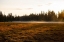 Picture of HOMER-ALASKA-KENAI PENINSULA