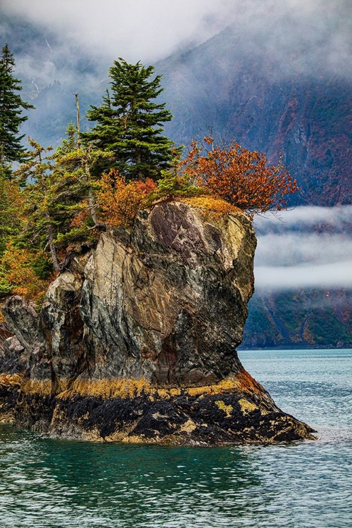 Picture of PRINCE WILLIAM SOUND-ALASKA-VALDEZ-ISLAND-AUTUMN-COLOR-EVERGREEN-FOG