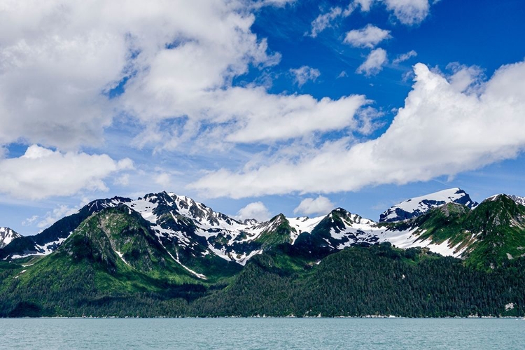 Picture of RESURRECTION BAY-SEWARD-ALASKA