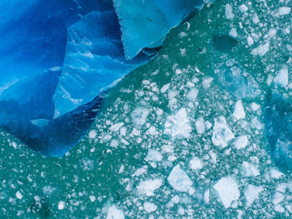 Picture of ALASKA SHATTERED ICEBERGS FLOATING NEAR CALVING FACE OF LECONTE GLACIER EAST OF PETERSBURG