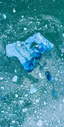Picture of ALASKA SHATTERED ICEBERGS FLOATING NEAR CALVING FACE OF LECONTE GLACIER EAST OF PETERSBURG