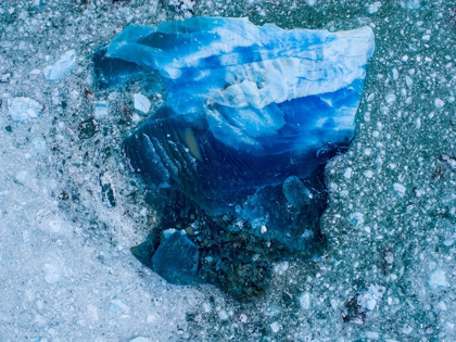 Picture of ALASKA SHATTERED ICEBERGS FLOATING NEAR CALVING FACE OF LECONTE GLACIER EAST OF PETERSBURG