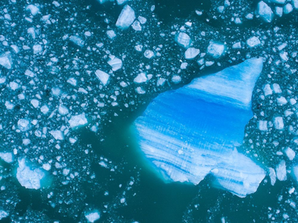 Picture of ALASKA SHATTERED ICEBERGS FLOATING NEAR CALVING FACE OF LECONTE GLACIER EAST OF PETERSBURG