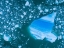 Picture of ALASKA SHATTERED ICEBERGS FLOATING NEAR CALVING FACE OF LECONTE GLACIER EAST OF PETERSBURG