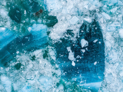 Picture of ALASKA SHATTERED ICEBERGS FLOATING NEAR CALVING FACE OF LECONTE GLACIER EAST OF PETERSBURG