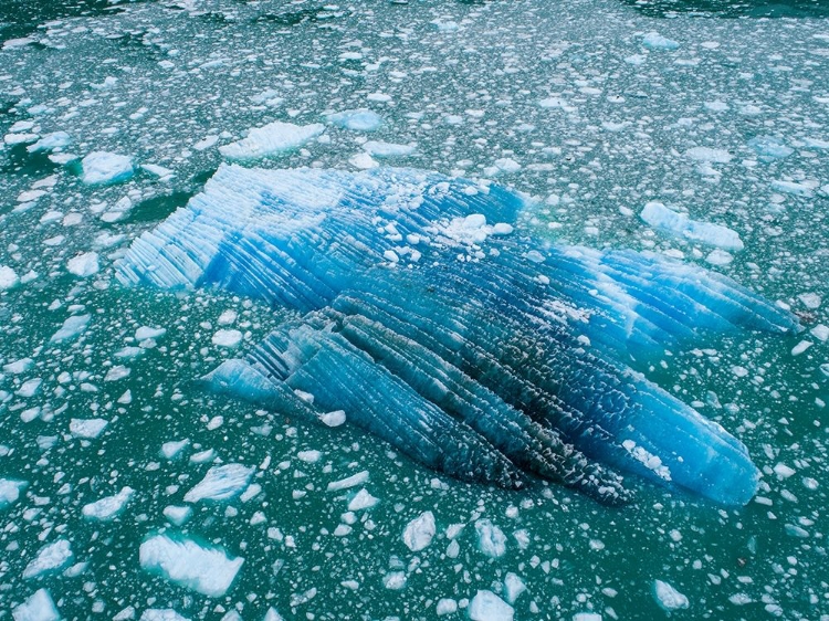 Picture of ALASKA SHATTERED ICEBERGS FLOATING NEAR CALVING FACE OF LECONTE GLACIER EAST OF PETERSBURG