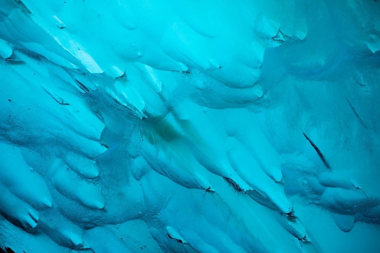 Picture of ALASKA-TRACY ARM-FORDS TERROR WILDERNESS-CLOSE-UP OF BLUE ICEBERG CALVED FROM DAWES GLACIER