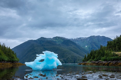 Picture of ALASKA-PETERSBURG-LARGE ICEBERG FROM LECONTE GLACIER GROUNDED AT LOW TIDE IN LECONTE BAY