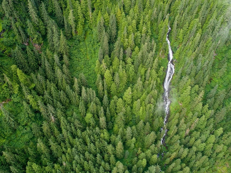 Picture of ALASKA-JUNEAU-TAKU HARBOR STATE MARINE PARK-WATERFALL ON MOUNTAINSIDE IN COASTAL RAINFOREST