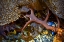 Picture of ALASKA-SITKA-SEAWEED DETAIL ON BEACH