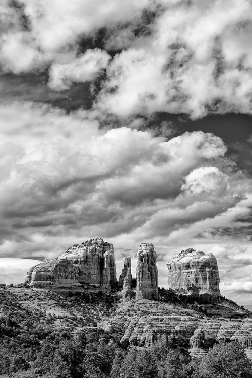 Picture of ARIZONA-SEDONA-CATHEDRAL ROCK