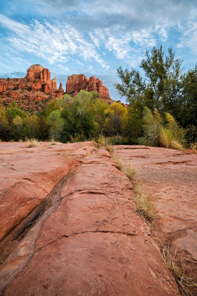 Picture of ARIZONA-SEDONA-RED ROCK STATE PARK-CATHEDRAL ROCK
