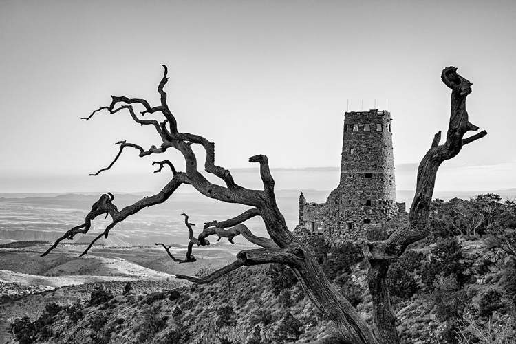 Picture of ARIZONA-GRAND CANYON NATIONAL PARK-SUNRISE AT THE DESERT VIEW WATCHTOWER