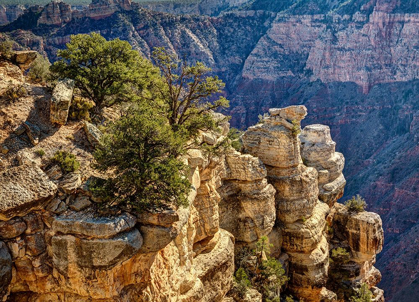 Picture of ARIZONA-GRAND CANYON NATIONAL PARK-ROCKS AND TREES AT GRANDVIEW POINT