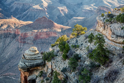 Picture of ARIZONA-GRAND CANYON NATIONAL PARK-VIEW FROM YAKI POINT AT SUNRISE
