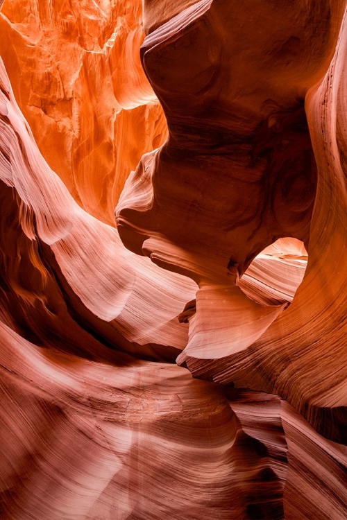 Picture of ARIZONA-PAGE-ANTELOPE CANYON NAVAJO TRIBAL PARK-LOWER ANTELOPE CANYON