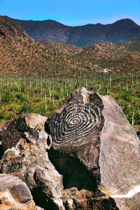 Picture of SIGNAL HILL PETROGLYPHS-ARIZONA-USA