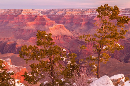 Picture of ARIZONA-GRAND CANYON NATIONAL PARK SUNRISE ON MATHER POINT