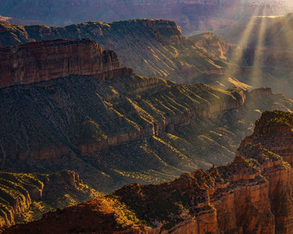 Picture of ARIZONA-GRAND CANYON NATIONAL PARK NORTH RIM OF GRAND CANYON AT SUNRISE 