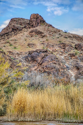 Picture of ARIZONA ANCIENT PETROGLYPHS ON ROCKS 