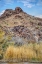 Picture of ARIZONA ANCIENT PETROGLYPHS ON ROCKS 