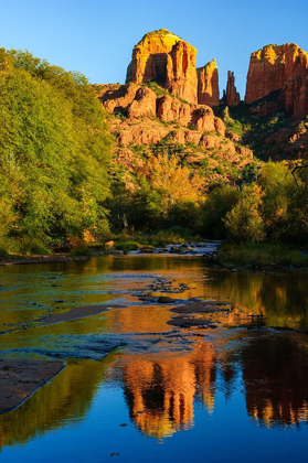 Picture of SEDONA-RED ROCK-CATHEDRAL ROCK